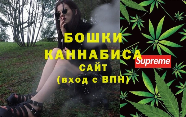 ПСИЛОЦИБИНОВЫЕ ГРИБЫ Белокуриха