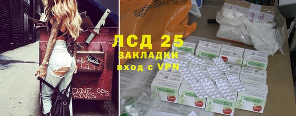 ПСИЛОЦИБИНОВЫЕ ГРИБЫ Белокуриха