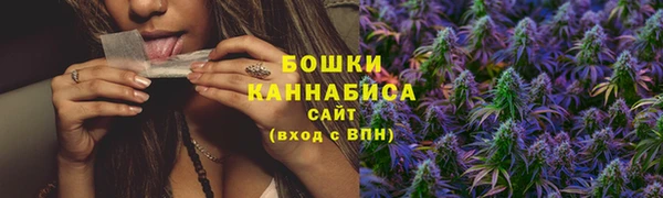 ПСИЛОЦИБИНОВЫЕ ГРИБЫ Белокуриха