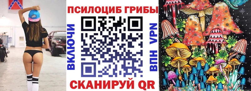 Купить закладки  Жиздра  Псилоцибиновые грибы GOLDEN TEACHER 